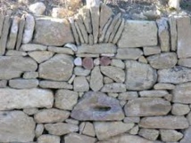 SORTIE TERRAIN ET CONFERENCE SORTIE TERRAIN ET CONFERENCE