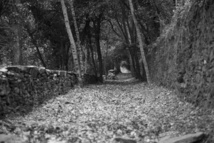 Evocation de la vie au domaine de GRAMPA au siècle dernier Evocation de la vie au domaine de GRAMPA au siècle dernier