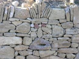 SORTIE TERRAIN ET CONFERENCE SORTIE TERRAIN ET CONFERENCE