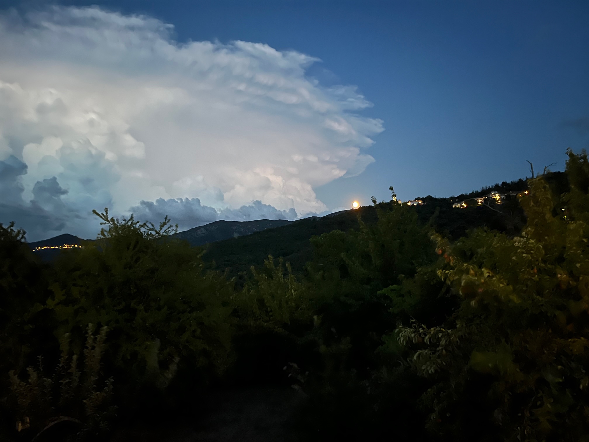 France di Campile France di Campile