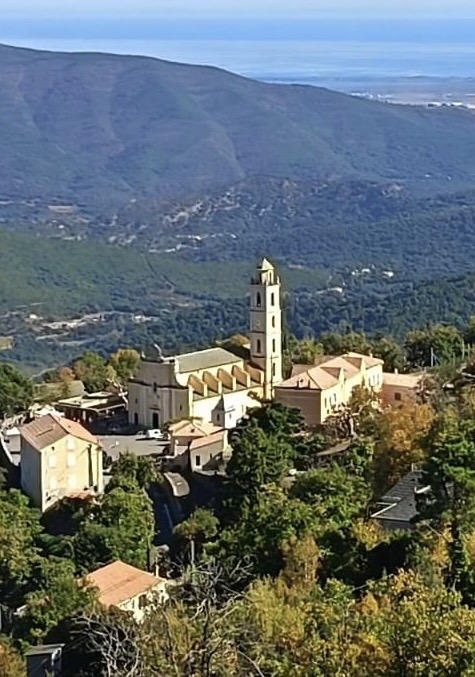 ELECTION MUNICIPALE 2026 A CAMPILE