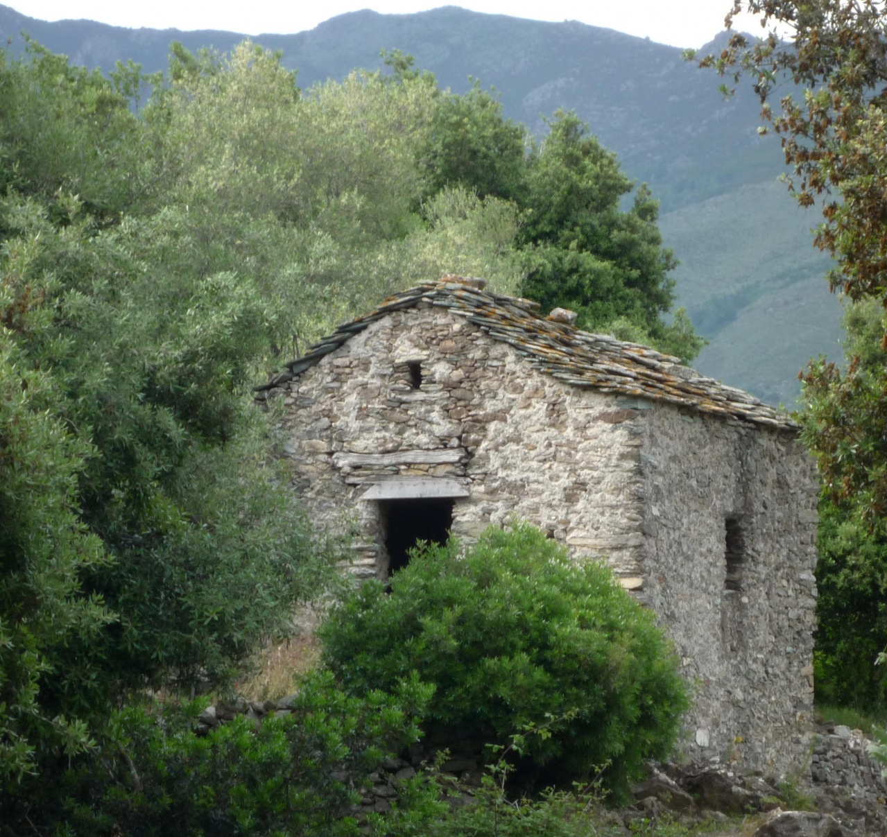 maison des anes